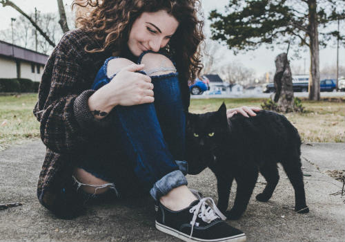 Black cat making a new friend