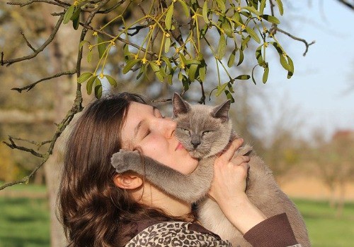 Cat biting the owner's nose