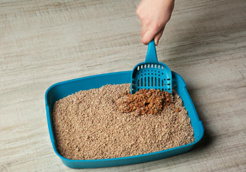 Cats litter scoop