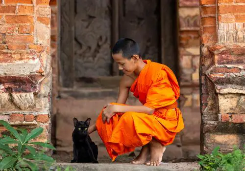 Cats and Buddhism