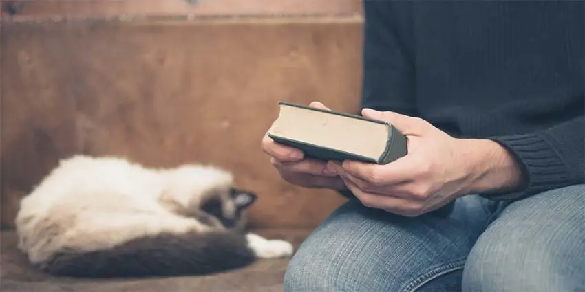 Cats and the Bible
