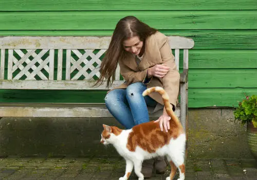 Girl is petting trhe red cat