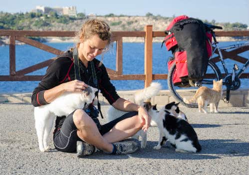 Girl is playing with cats