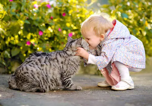 little girl with a cat