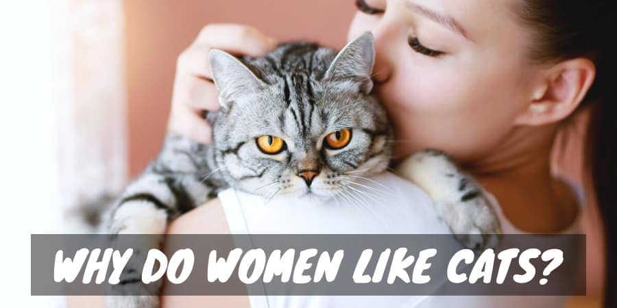 Why do women like cats?