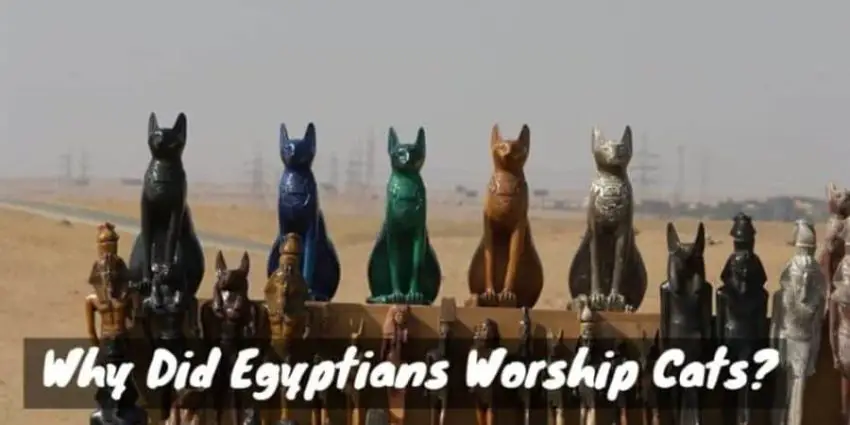Why Did Egyptians Worship Cats?