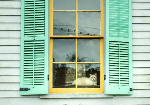 Yellow wooden window with the green windowcovers and the cat